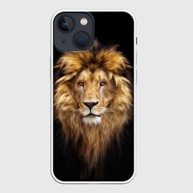 Чехол для iPhone 13 mini с принтом Лев в Тюмени,  |  | african | animals | authority | big | cat | cool | head | illustration | indisputable | lion | mane | muzzle | supreme | swag | авторитет | африканский | большая | верховный | голова | грива | животные | иллюстрация | кошка | крутой | лев | непрер