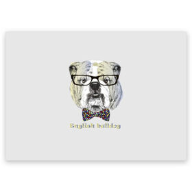 Поздравительная открытка с принтом Английский бульдог в Тюмени, 100% бумага | плотность бумаги 280 г/м2, матовая, на обратной стороне линовка и место для марки
 | animals | breed | bulldog | butterfly | dog | english | fight | gentleman | head | illustration | inscription | muzzle | tie | английский | бабочка | бойцовый | бульдог | галстук | голова | джентльмен | животные | иллюстрация | надпись |