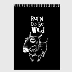 Скетчбук с принтом Born to be wild в Тюмени, 100% бумага
 | 48 листов, плотность листов — 100 г/м2, плотность картонной обложки — 250 г/м2. Листы скреплены сверху удобной пружинной спиралью | Тематика изображения на принте: angry | animals | authority | b | black and white | bull terrier | bully | cool | dog | fight | illustration | swag | thug | wild | авторитет | бандит | бойцовый | бультерьер | дикий | животные | злой | иллюстрация | крутой | надпись | ошейник | п