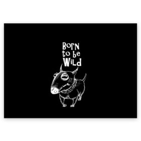 Поздравительная открытка с принтом Born to be wild в Тюмени, 100% бумага | плотность бумаги 280 г/м2, матовая, на обратной стороне линовка и место для марки
 | Тематика изображения на принте: angry | animals | authority | b | black and white | bull terrier | bully | cool | dog | fight | illustration | swag | thug | wild | авторитет | бандит | бойцовый | бультерьер | дикий | животные | злой | иллюстрация | крутой | надпись | ошейник | п