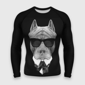 Мужской рашгард 3D с принтом Питбуль в Тюмени,  |  | animals | black | black and white | cool | dog | fight | gentleman | head | illustration | pitbull | swag | white | авторитет | белая | бойцовый | галстук бабочка | голова | джентльмен | животные | иллюстрация | костюм | крутой | очки | 