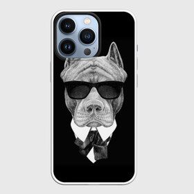 Чехол для iPhone 13 Pro с принтом Питбуль в Тюмени,  |  | Тематика изображения на принте: animals | black | black and white | cool | dog | fight | gentleman | head | illustration | pitbull | swag | white | авторитет | белая | бойцовый | галстук бабочка | голова | джентльмен | животные | иллюстрация | костюм | крутой | очки | 