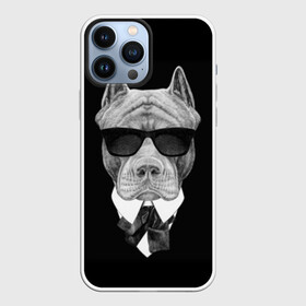 Чехол для iPhone 13 Pro Max с принтом Питбуль в Тюмени,  |  | Тематика изображения на принте: animals | black | black and white | cool | dog | fight | gentleman | head | illustration | pitbull | swag | white | авторитет | белая | бойцовый | галстук бабочка | голова | джентльмен | животные | иллюстрация | костюм | крутой | очки | 