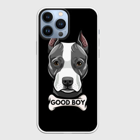 Чехол для iPhone 13 Pro Max с принтом Стаффордширский терьер в Тюмени,  |  | animal | bone | breed | dog | fight | head | inscription | look | muzzle | staffordshire | terrier | бойцовая | взгляд | голова | животное | кость | надпись | порода | собака | стаффордширский | терьер