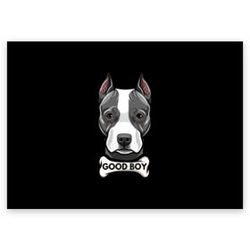 Поздравительная открытка с принтом Стаффордширский терьер в Тюмени, 100% бумага | плотность бумаги 280 г/м2, матовая, на обратной стороне линовка и место для марки
 | animal | bone | breed | dog | fight | head | inscription | look | muzzle | staffordshire | terrier | бойцовая | взгляд | голова | животное | кость | надпись | порода | собака | стаффордширский | терьер