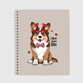 Тетрадь с принтом I need your love в Тюмени, 100% бумага | 48 листов, плотность листов — 60 г/м2, плотность картонной обложки — 250 г/м2. Листы скреплены сбоку удобной пружинной спиралью. Уголки страниц и обложки скругленные. Цвет линий — светло-серый
 | Тематика изображения на принте: animal | bow tie | breed | corgi | cute | dog | funny | hearts | holiday | pembroke | polka dot | red | saint | valentine | валентина | вельш корги | галстук бабочка | горошек | день | животное | красный | любовь | милая | очки | пемброк | пород