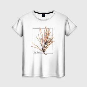 Женская футболка 3D с принтом Pinus Sylvestris в Тюмени, 100% полиэфир ( синтетическое хлопкоподобное полотно) | прямой крой, круглый вырез горловины, длина до линии бедер | абстракция | авторская работа | ботаническая иллюстрация | деревья | иллюстрации | минимализм | сосна | цветы
