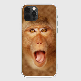Чехол для iPhone 12 Pro Max с принтом Обезьяна в Тюмени, Силикон |  | голова | животные | мартышка | мордочка | обезьяна | открытый | прикол | природа | рот | юмор