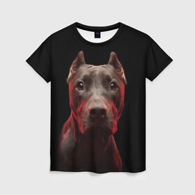 Женская футболка 3D с принтом Стафф в Тюмени, 100% полиэфир ( синтетическое хлопкоподобное полотно) | прямой крой, круглый вырез горловины, длина до линии бедер | амстафф | голова | животные | мордочка | природа | собака | стафф | стаффордширский терьер