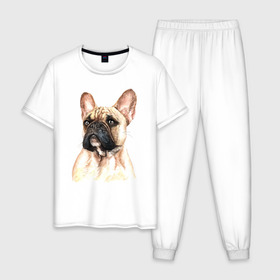 Мужская пижама хлопок с принтом Французский бульдог в Тюмени, 100% хлопок | брюки и футболка прямого кроя, без карманов, на брюках мягкая резинка на поясе и по низу штанин
 | Тематика изображения на принте: bulldog | dog | бульдог | собака | собаки | французский бульдог