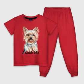 Детская пижама хлопок с принтом Йоркширский терьер в Тюмени, 100% хлопок |  брюки и футболка прямого кроя, без карманов, на брюках мягкая резинка на поясе и по низу штанин
 | Тематика изображения на принте: yorkshire terrier | йорк | йорки | йоркширский | йоркширский терьер | собака | собаки | терьер