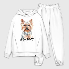 Мужской костюм хлопок OVERSIZE с принтом Йоркширский терьер в Тюмени,  |  | yorkshire terrier | йорк | йорки | йоркширский | йоркширский терьер | собака | собаки | терьер