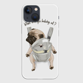 Чехол для iPhone 13 mini с принтом Мопс в рюкзаке в Тюмени,  |  | background | backpack | breed | brown | color | cute | dog | funny | gray | look | muzzle | paws | pug | puppy | slogan | small | trace | white | белый | взгляд | коричневый | лапы | маленький | милый | мопс | пес | порода | прикольный | рюкзак | 