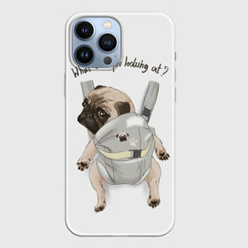 Чехол для iPhone 13 Pro Max с принтом Мопс в рюкзаке в Тюмени,  |  | background | backpack | breed | brown | color | cute | dog | funny | gray | look | muzzle | paws | pug | puppy | slogan | small | trace | white | белый | взгляд | коричневый | лапы | маленький | милый | мопс | пес | порода | прикольный | рюкзак | 