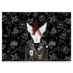 Поздравительная открытка с принтом Кот в косухе в Тюмени, 100% бумага | плотность бумаги 280 г/м2, матовая, на обратной стороне линовка и место для марки
 | anarchy | breed | cat | clothes | cool | hairstyle | icon | jacket | kote | mohawk | muzzle | piercing | punk | riveting | rock | skull | sphinx | spikes | tattoo | анархия | значок | ирокез | к | клепки | кот | котик | котэ | круто | куртка | оде