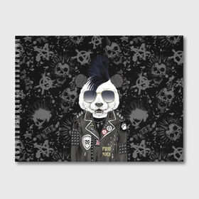 Альбом для рисования с принтом Панда в косухе в Тюмени, 100% бумага
 | матовая бумага, плотность 200 мг. | anarchy | bear | color | cool | icon | jacket | mohawk | music | panda | piercing | punk | purple | rock | skull | white | аксессуар | анархия | белый | значок | ирокез | круто | куртка | медведь | музыка | одежда | очки | панда | панк |