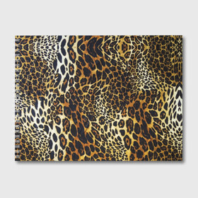 Альбом для рисования с принтом Шкура леопарда в Тюмени, 100% бумага
 | матовая бумага, плотность 200 мг. | animal | cheeky | dangerous | leopard | nature | pattern | predator | skin | spots | wild | дерзкий | дикий | животное | леопард | опасный | природа | пятна | узор | хищник