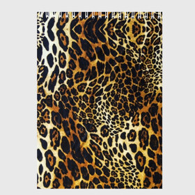 Скетчбук с принтом Шкура леопарда в Тюмени, 100% бумага
 | 48 листов, плотность листов — 100 г/м2, плотность картонной обложки — 250 г/м2. Листы скреплены сверху удобной пружинной спиралью | animal | cheeky | dangerous | leopard | nature | pattern | predator | skin | spots | wild | дерзкий | дикий | животное | леопард | опасный | природа | пятна | узор | хищник
