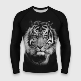 Мужской рашгард 3D с принтом Тигр в Тюмени,  |  | animal | beautiful | black | cool | fangs | fauna | mustache | muzzle | nature | photo | predator | striped | tiger | view | white | wild | wool | белый | взгляд | дикий | животное | клыки | красивый | круто | полосатый | природа | тигр | усы | фа