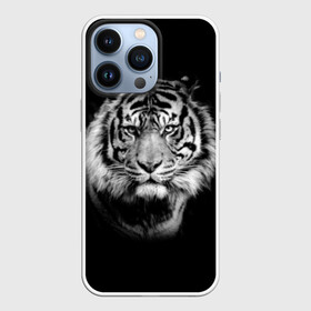 Чехол для iPhone 13 Pro с принтом Тигр в Тюмени,  |  | animal | beautiful | black | cool | fangs | fauna | mustache | muzzle | nature | photo | predator | striped | tiger | view | white | wild | wool | белый | взгляд | дикий | животное | клыки | красивый | круто | полосатый | природа | тигр | усы | фа