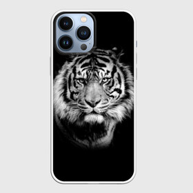 Чехол для iPhone 13 Pro Max с принтом Тигр в Тюмени,  |  | animal | beautiful | black | cool | fangs | fauna | mustache | muzzle | nature | photo | predator | striped | tiger | view | white | wild | wool | белый | взгляд | дикий | животное | клыки | красивый | круто | полосатый | природа | тигр | усы | фа