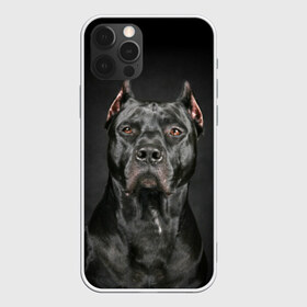 Чехол для iPhone 12 Pro Max с принтом Питбуль в Тюмени, Силикон |  | animal | black | breed | bull | combat | dog | ears | eyes | image | muzzle | nose | pit bull | portrait | боевой | бугай | глаза | животное | изображение | нос | пес | питбуль | порода | портрет | псина | собака | уши | черный