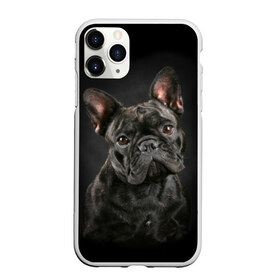 Чехол для iPhone 11 Pro Max матовый с принтом Французский бульдог в Тюмени, Силикон |  | animal | background | beast | black | breed | bulldog | cool | cute | dog | ears | french | jaw | look | muzzle | portrait | wool | бульдог | взгляд | животное | зверь | милый | пёс | порода | портрет | прикольно | псина | собака | уши | фон | фра