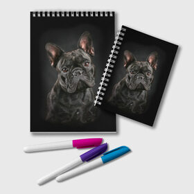 Блокнот с принтом Французский бульдог в Тюмени, 100% бумага | 48 листов, плотность листов — 60 г/м2, плотность картонной обложки — 250 г/м2. Листы скреплены удобной пружинной спиралью. Цвет линий — светло-серый
 | Тематика изображения на принте: animal | background | beast | black | breed | bulldog | cool | cute | dog | ears | french | jaw | look | muzzle | portrait | wool | бульдог | взгляд | животное | зверь | милый | пёс | порода | портрет | прикольно | псина | собака | уши | фон | фра