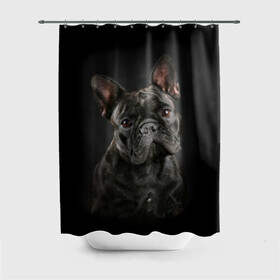 Штора 3D для ванной с принтом Французский бульдог в Тюмени, 100% полиэстер | плотность материала — 100 г/м2. Стандартный размер — 146 см х 180 см. По верхнему краю — пластиковые люверсы для креплений. В комплекте 10 пластиковых колец | animal | background | beast | black | breed | bulldog | cool | cute | dog | ears | french | jaw | look | muzzle | portrait | wool | бульдог | взгляд | животное | зверь | милый | пёс | порода | портрет | прикольно | псина | собака | уши | фон | фра