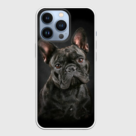 Чехол для iPhone 13 Pro с принтом Французский бульдог в Тюмени,  |  | Тематика изображения на принте: animal | background | beast | black | breed | bulldog | cool | cute | dog | ears | french | jaw | look | muzzle | portrait | wool | бульдог | взгляд | животное | зверь | милый | пёс | порода | портрет | прикольно | псина | собака | уши | фон | фра