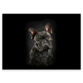 Поздравительная открытка с принтом Французский бульдог в Тюмени, 100% бумага | плотность бумаги 280 г/м2, матовая, на обратной стороне линовка и место для марки
 | animal | background | beast | black | breed | bulldog | cool | cute | dog | ears | french | jaw | look | muzzle | portrait | wool | бульдог | взгляд | животное | зверь | милый | пёс | порода | портрет | прикольно | псина | собака | уши | фон | фра