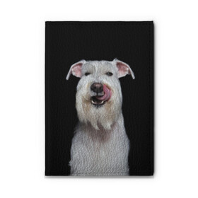 Обложка для автодокументов с принтом Белый шнауцер в Тюмени, натуральная кожа |  размер 19,9*13 см; внутри 4 больших “конверта” для документов и один маленький отдел — туда идеально встанут права | animal | background | beast | black | breed | cool | cute | dog | ears | fangs | jaw | look | muzzle | portrait | tongue | white | wool | белый | взгляд | животное | зверь | клыки | милый | пёс | порода | портрет | прикольно | псина | собака | уши