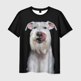 Мужская футболка 3D с принтом Белый шнауцер в Тюмени, 100% полиэфир | прямой крой, круглый вырез горловины, длина до линии бедер | animal | background | beast | black | breed | cool | cute | dog | ears | fangs | jaw | look | muzzle | portrait | tongue | white | wool | белый | взгляд | животное | зверь | клыки | милый | пёс | порода | портрет | прикольно | псина | собака | уши