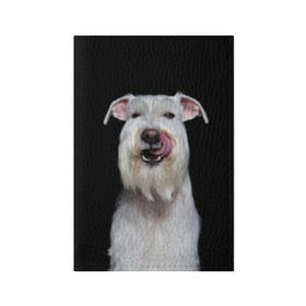 Обложка для паспорта матовая кожа с принтом Белый шнауцер в Тюмени, натуральная матовая кожа | размер 19,3 х 13,7 см; прозрачные пластиковые крепления | animal | background | beast | black | breed | cool | cute | dog | ears | fangs | jaw | look | muzzle | portrait | tongue | white | wool | белый | взгляд | животное | зверь | клыки | милый | пёс | порода | портрет | прикольно | псина | собака | уши