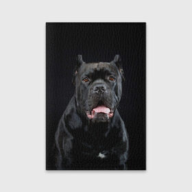 Обложка для паспорта матовая кожа с принтом Черный кан - корсо в Тюмени, натуральная матовая кожа | размер 19,3 х 13,7 см; прозрачные пластиковые крепления | Тематика изображения на принте: animal | background | beast | black | breed | can   corso | cool | cute | dog | ears | fangs | jaw | look | muzzle | portrait | tongue | wool | взгляд | животное | зверь | кан   корсо | клыки | милый | пёс | порода | портрет | прикольно | псина | 