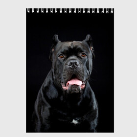 Скетчбук с принтом Черный кан - корсо в Тюмени, 100% бумага
 | 48 листов, плотность листов — 100 г/м2, плотность картонной обложки — 250 г/м2. Листы скреплены сверху удобной пружинной спиралью | Тематика изображения на принте: animal | background | beast | black | breed | can   corso | cool | cute | dog | ears | fangs | jaw | look | muzzle | portrait | tongue | wool | взгляд | животное | зверь | кан   корсо | клыки | милый | пёс | порода | портрет | прикольно | псина | 