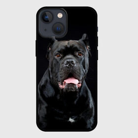 Чехол для iPhone 13 mini с принтом Черный кан   корсо в Тюмени,  |  | animal | background | beast | black | breed | can   corso | cool | cute | dog | ears | fangs | jaw | look | muzzle | portrait | tongue | wool | взгляд | животное | зверь | кан   корсо | клыки | милый | пёс | порода | портрет | прикольно | псина | 