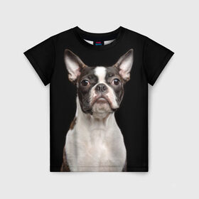 Детская футболка 3D с принтом Бостонский терьер в Тюмени, 100% гипоаллергенный полиэфир | прямой крой, круглый вырез горловины, длина до линии бедер, чуть спущенное плечо, ткань немного тянется | Тематика изображения на принте: animal | background | beast | black | boston | breed | color | cool | cute | dog | ears | jaw | look | muzzle | pet | portrait | terrier | white | wool | белый | бостон | взгляд | животное | зверь | милый | пёс | питомец | порода | портрет | прико