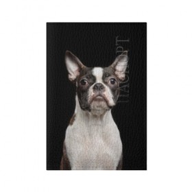 Обложка для паспорта матовая кожа с принтом Бостонский терьер в Тюмени, натуральная матовая кожа | размер 19,3 х 13,7 см; прозрачные пластиковые крепления | Тематика изображения на принте: animal | background | beast | black | boston | breed | color | cool | cute | dog | ears | jaw | look | muzzle | pet | portrait | terrier | white | wool | белый | бостон | взгляд | животное | зверь | милый | пёс | питомец | порода | портрет | прико