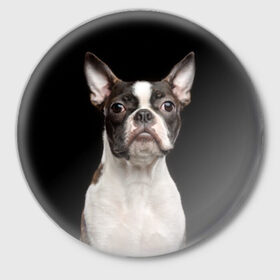 Значок с принтом Бостонский терьер в Тюмени,  металл | круглая форма, металлическая застежка в виде булавки | Тематика изображения на принте: animal | background | beast | black | boston | breed | color | cool | cute | dog | ears | jaw | look | muzzle | pet | portrait | terrier | white | wool | белый | бостон | взгляд | животное | зверь | милый | пёс | питомец | порода | портрет | прико