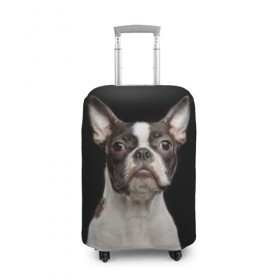 Чехол для чемодана 3D с принтом Бостонский терьер в Тюмени, 86% полиэфир, 14% спандекс | двустороннее нанесение принта, прорези для ручек и колес | animal | background | beast | black | boston | breed | color | cool | cute | dog | ears | jaw | look | muzzle | pet | portrait | terrier | white | wool | белый | бостон | взгляд | животное | зверь | милый | пёс | питомец | порода | портрет | прико