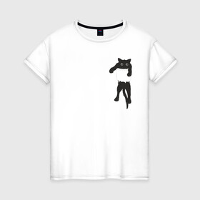 Женская футболка хлопок с принтом Кися в кармане в Тюмени, 100% хлопок | прямой крой, круглый вырез горловины, длина до линии бедер, слегка спущенное плечо | cat | арт | животные | карман | кися | кот | кот в кармане | котенок | коты | кошка