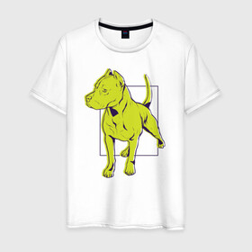 Мужская футболка хлопок с принтом Питбуль в Тюмени, 100% хлопок | прямой крой, круглый вырез горловины, длина до линии бедер, слегка спущенное плечо. | Тематика изображения на принте: dog | pitbull | питбули | питбуль | собака | собаки