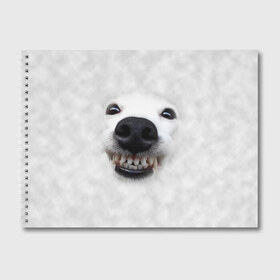 Альбом для рисования с принтом Собака - улыбака в Тюмени, 100% бумага
 | матовая бумага, плотность 200 мг. | Тематика изображения на принте: животные | зубы | мордочка | пес | прикол | смешная | собака | улыбака | улыбка | щенок | юмор