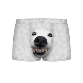 Мужские трусы 3D с принтом Собака - улыбака в Тюмени, 50% хлопок, 50% полиэстер | классическая посадка, на поясе мягкая тканевая резинка | животные | зубы | мордочка | пес | прикол | смешная | собака | улыбака | улыбка | щенок | юмор