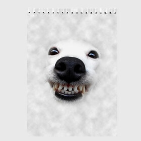 Скетчбук с принтом Собака - улыбака в Тюмени, 100% бумага
 | 48 листов, плотность листов — 100 г/м2, плотность картонной обложки — 250 г/м2. Листы скреплены сверху удобной пружинной спиралью | Тематика изображения на принте: животные | зубы | мордочка | пес | прикол | смешная | собака | улыбака | улыбка | щенок | юмор