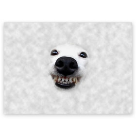 Поздравительная открытка с принтом Собака - улыбака в Тюмени, 100% бумага | плотность бумаги 280 г/м2, матовая, на обратной стороне линовка и место для марки
 | Тематика изображения на принте: животные | зубы | мордочка | пес | прикол | смешная | собака | улыбака | улыбка | щенок | юмор