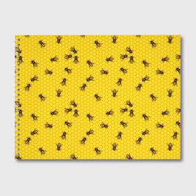 Альбом для рисования с принтом Пчелы в сотах в Тюмени, 100% бумага
 | матовая бумага, плотность 200 мг. | bee | beehive | brown | bug | honey | honeycomb | insect | toiler | yellow | букашка | желтый | коричневый | мёд | насекомое | пчела | соты | труженик | улей