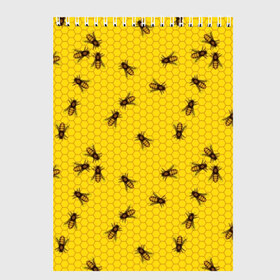 Скетчбук с принтом Пчелы в сотах в Тюмени, 100% бумага
 | 48 листов, плотность листов — 100 г/м2, плотность картонной обложки — 250 г/м2. Листы скреплены сверху удобной пружинной спиралью | bee | beehive | brown | bug | honey | honeycomb | insect | toiler | yellow | букашка | желтый | коричневый | мёд | насекомое | пчела | соты | труженик | улей