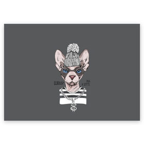 Поздравительная открытка с принтом Криминальный кот в Тюмени, 100% бумага | плотность бумаги 280 г/м2, матовая, на обратной стороне линовка и место для марки
 | Тематика изображения на принте: breed | cat | chain | cool | decoration | dollar | gangster | hat | kitty | kote | logan | money | motto | pendant | rebel | rebellion | sphinx | text | бандит | бунтарь | девиз | деньги | доллар | киса | кот | котик | котэ | круто | кулон | логан | мяте 